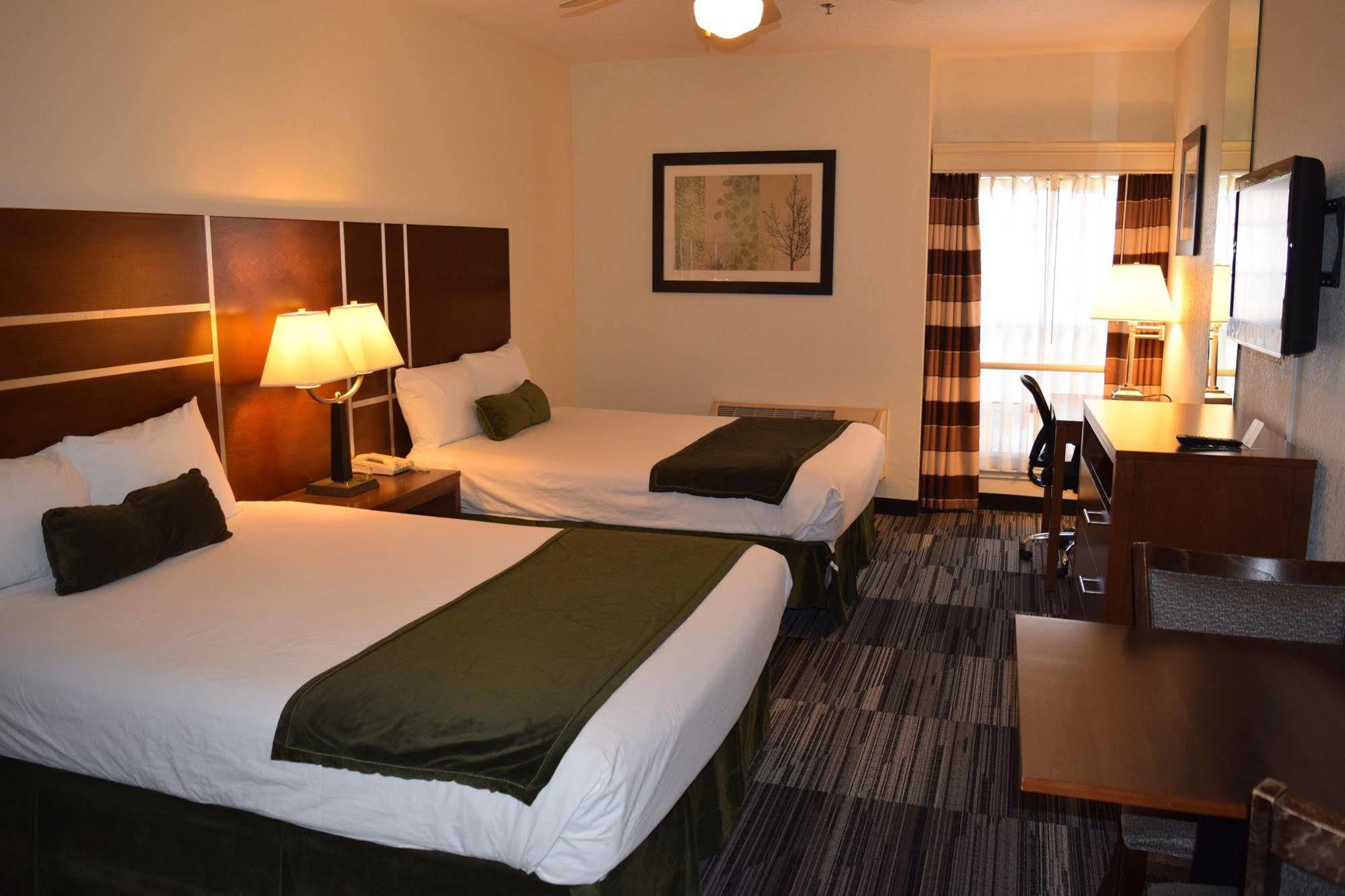 Arena Hotel Сан-Хосе Экстерьер фото